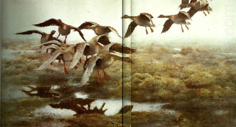 bruno liljefors fallande vildgass china oil painting image